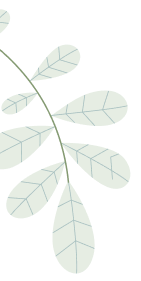 leaf image